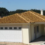 Flamed Silves Yellow