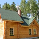 04 Forest Green