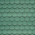 04 Forest Green