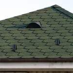 04 Forest Green