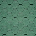 04 Forest Green