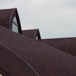 07 Dual Brown