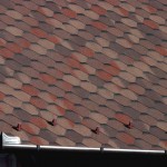 34 Flamming Red Ultra