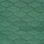 04 Forest Green