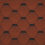 Terra Cotta