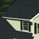 Onyx Black