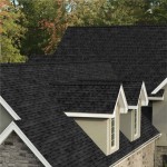 Onyx Black