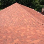 Terra Cotta